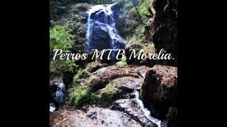 preview picture of video 'PERROS MTB: Recorrido a ICHAQUEO/CHORRO PRIETO.'