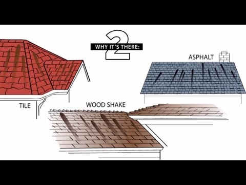 Your Guide to Algae Discoloration