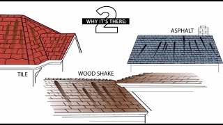 Your Guide to Algae Discoloration