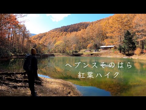 [Senderismo por el follaje otoñal] El follaje otoñal en Heavens Sonohara era más hermoso de lo que imaginaba [Aldea de Achi, Prefectura de Nagano]