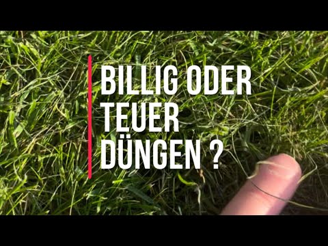 Rasendünger BILLIG oder TEUER ? | Rasen mit 10x teureren Dünger und fantastischen Ergebnis 😊👌👌🤌