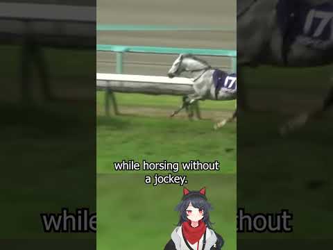 Umamusume Lore You Didn't Know: Silver Sonics Solo Race