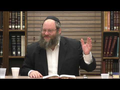 Shaar Hayichud Vehaemunah Chapter 6 Part 2, Chapter 7 Part 1 (Chanukah) - Rabbi Naftali Silberberg