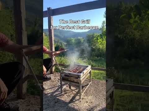 The Best Grill for Perfect Barbecue
