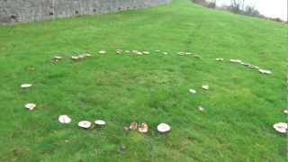 Magic Circle Incantation of Pagan Belief vs. Massmurderous Institution of the Pharaonic Religion