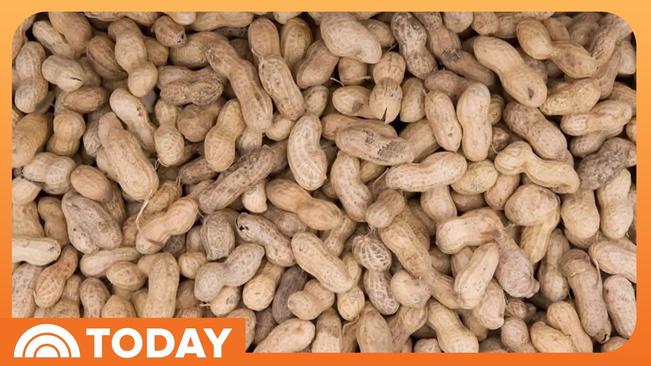 How children may be able to overcome mild peanut allergies