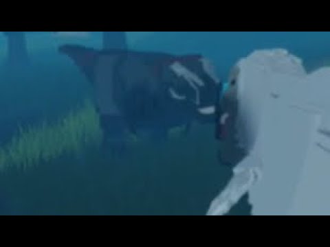 Dodo Rex vs Tyrannosaurus Rex!