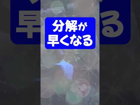 冬に堆肥が湿りすぎるのはなぜですか?原因と解決策！  庭園