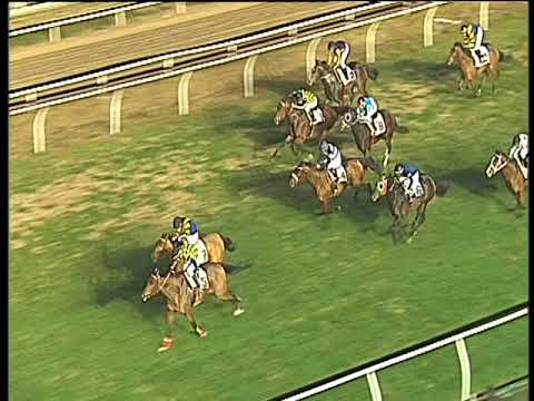 Galoppo 04/01/2018 - 5ª corsa