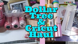 DOLLAR TREE AND CRICUT HAUL... | Alli's Pantry & Crafts