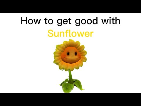 How to get good with Sunflower | GW2 Character Analysis: Episode 6
