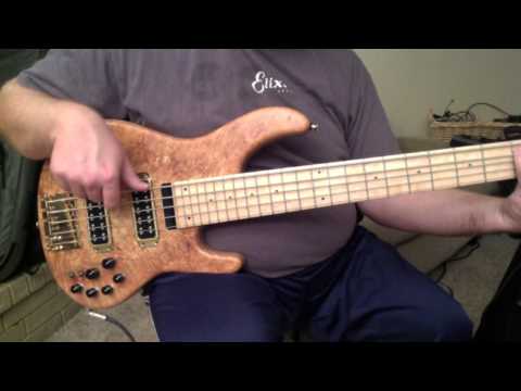 STR guitars LS549 - Burl Maple image 15