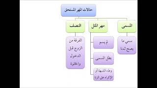 صورة فقه الأسرة (15) حالات المهر - عامر بهجت - التأهيل الفقهي