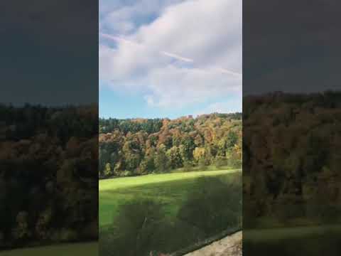 Daily VLOG 2017.10.14 | 拜罗伊特一日游 | 拜罗伊特新皇宫花园 | 迎新会乐队表演 | 多彩的秋 | 彩色的房子🏠 | 胖胖的加菲