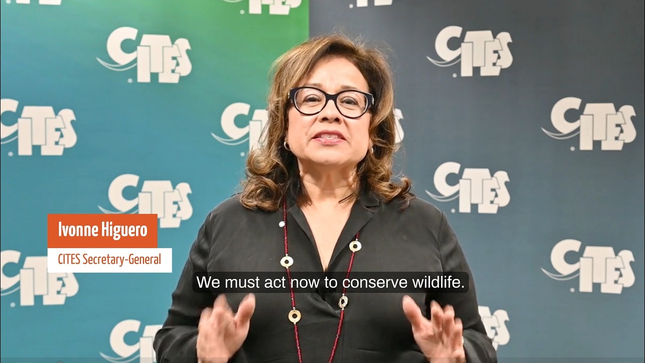 World Environment Day 2026: Message by CITES Secretary-General Ivonne Higuero