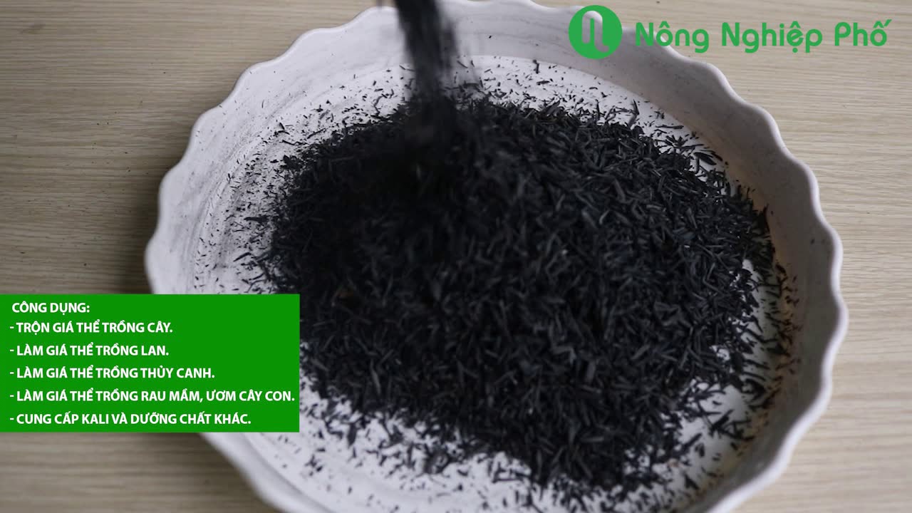 Giá thể trấu hun SFARM – Trấu hun sạch mầm bệnh, giữ ẩm, làm giá thể trồng rau mầm, hoa, ươm cây con