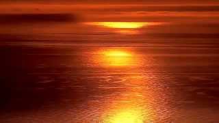 Schiller -  Nightflight