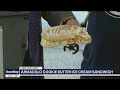Armadillo Cookie Butter Ice Cream Sandwich Wins Best Tasting Sweet Treat At State Fair Of Texas