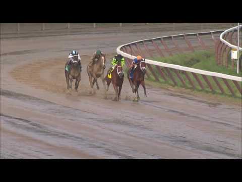 Lost Raven - 2016 Coronation Cup