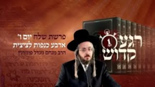 הרב מנחם מנדל פומרנץ | רגע קדוש מהאור החיים - פרשת שלח יום ו' • ארבע כנפות לציצית •