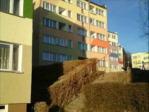 Z.W.S. Skład - Rzeczywistość dnia