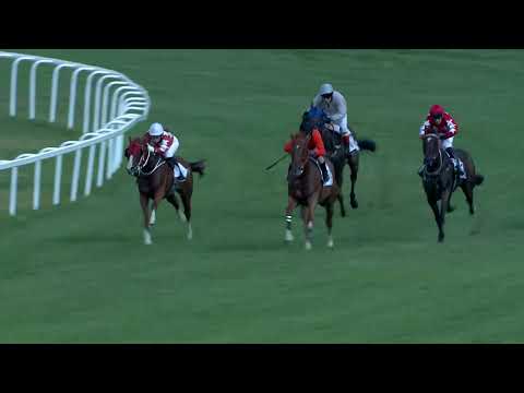 2018.08.19. 04. futam - GÖDI DÍJ (Elit kat.)