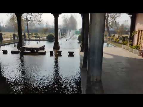 Shalimar Garden view 2 #srinagar 141125