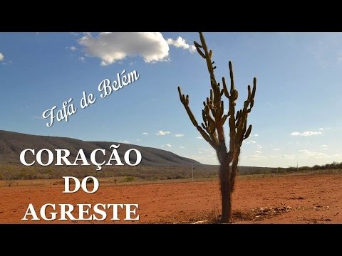 Coração do Agreste - Fafá de Belém
