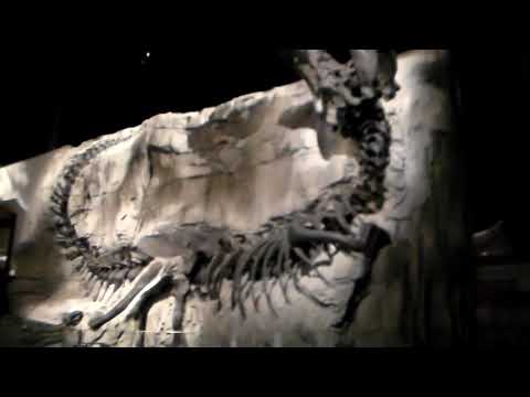 2018 Canada yaz tatili Calgary Alberta Canada ve British Colombia(14)