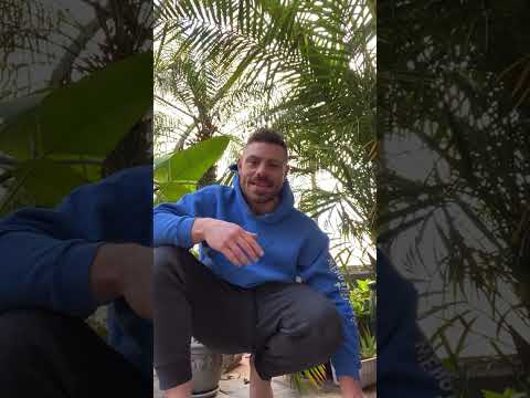 Which Fat burners Actually Work