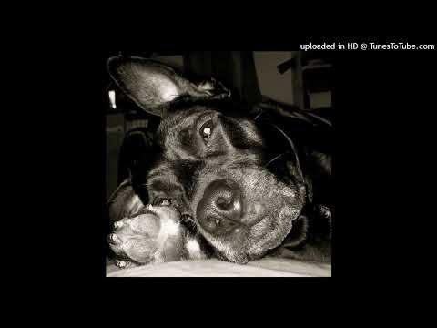 Scatman Remix 2022 / Hardcore DJ Notarec