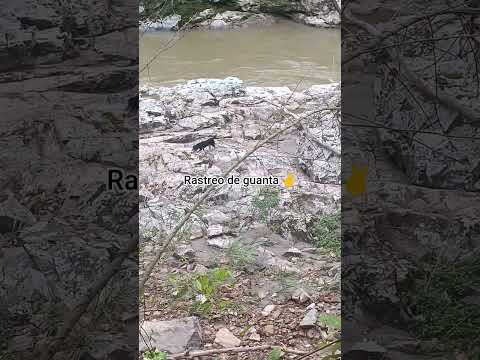 Zamora chinchipe Ecuador 🇪🇨