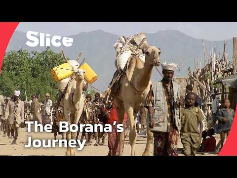 Into the “Mouth of the Devil”: A Borana Rite of Passage | SLICE | FULL DOCUMENTARY