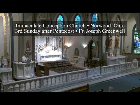 Sunday Sermon • 3rd Sunday after Pentecost • 1st Mass • 2020