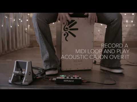 Create percussion loops with the EC-10M ELCajon