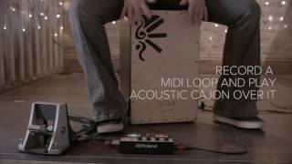 Create percussion loops with the EC-10M ELCajon