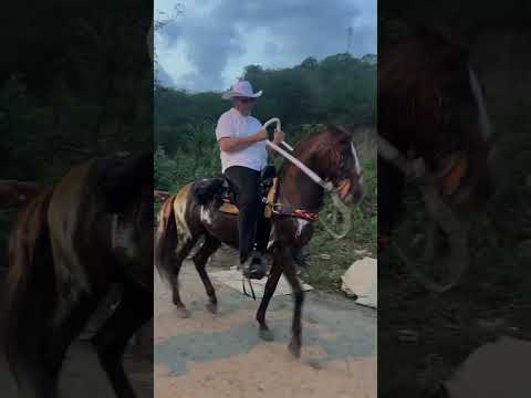 Cabalgata El Guamo Bolívar parte 4