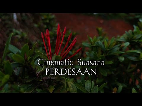 Happy Again | Piche Kota - Happy Again Lyric Video Official