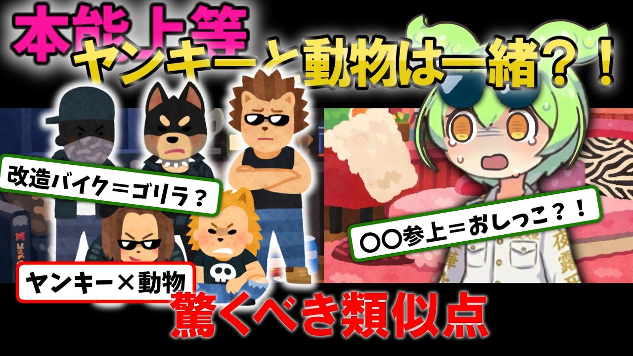 実は合理的？ラヴ上等に影響を受けたずんだもんと学ぶヤンキーの動物行動学的生き様！【ずんだもん＆ゆっくり解説】