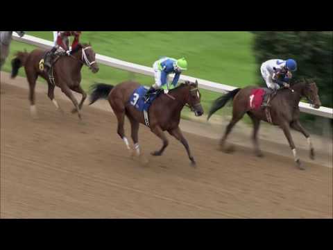 Forever Unbrilded Heads Fleur De Lis Field