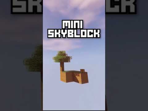 the BEST Minecraft players