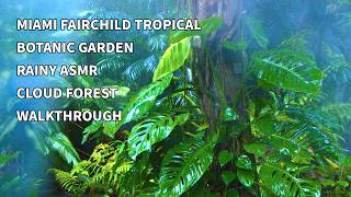 Rainy Relaxing Botanical Tour at Fairchild Tropical Botanic Garden