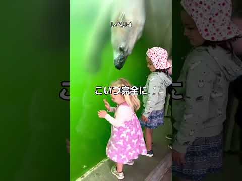 熊って本当にヤバいんだな...