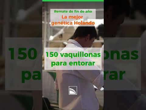 Remate Holando fin de año de la Lehmann con la mejor genética.