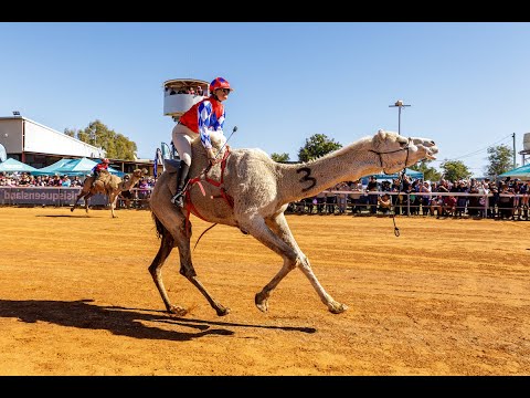Boulia Camel Races