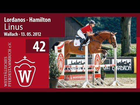 42 Linus  Wallach v. Lordanos - Hamilton