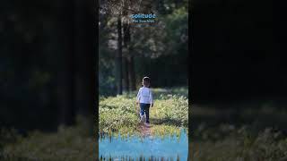 Miniature YouTube : Solitude | Musique Ambiante & Relaxation par Soochrys