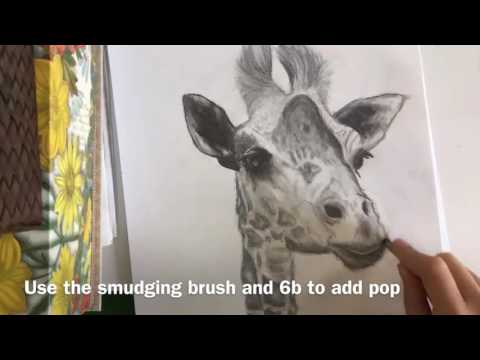 How to draw a realistic giraffe - YouTube