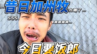 Re: [問題] 為什麼躺平族那麼多？