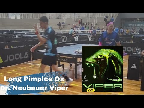 Dr. Neubauer Viper Ox - Finals - State Championship 2023